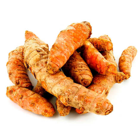 Huile essentielle de CURCUMA 10ml Huile essentielle de CURCUMA 10ml