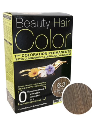 BLOND FONCE DORE 6.3