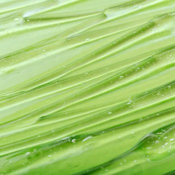 ingredient-Aloe-vera_350x