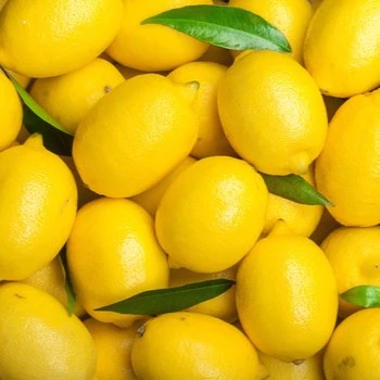 ingredient-Citron_350x