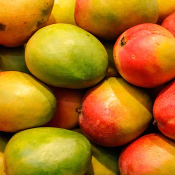 ingredient-Mangue_350x