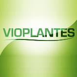 vioplantes sur kazabeaute.com